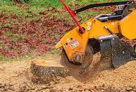 Best Emergency Tree Removal  in Rancho Santa Fe, CA