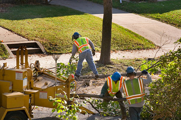 Best Pest Control for Lawns  in Rancho Santa Fe, CA